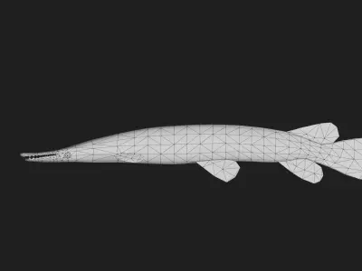 Spottedgar Low-poly 3D model