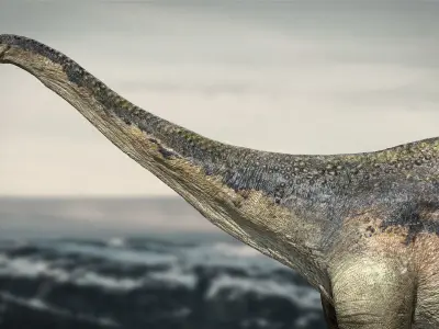 argentinosaurus Rigged 3D model Low-poly 3D model