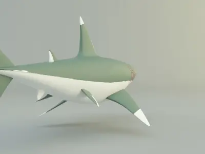  megalodon shark model 3D model
