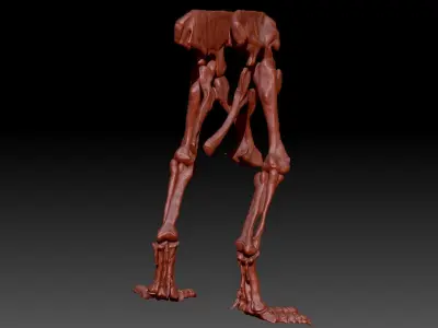 Dinosaur Giganotosaurus Hip Leg Set Skeletons 3D model