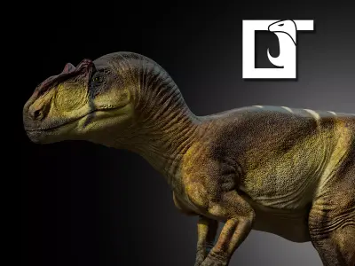 Allosaurus fragilis 2024 Version Low-poly 3D model