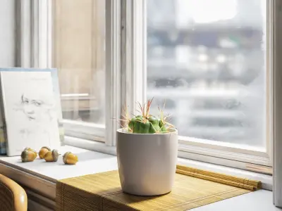  Baby Euphorbia Cactus Potted Plant Model 