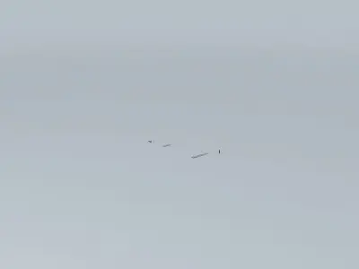 Air Canada 1981 and Lufthansa 2951 Airplane Crash Free 3D model