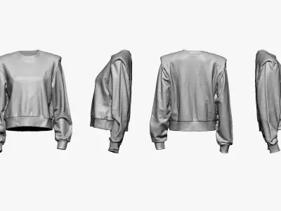 001278 female pinki blouse relationshit Low-poly 3D model