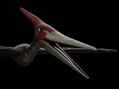 Pteranodon dinosaur with long beak Low-poly 3D model