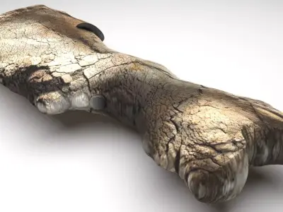 Triceratops Bone 3D model