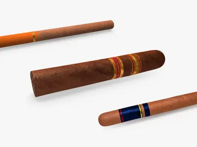 Cigars Collection 3D model