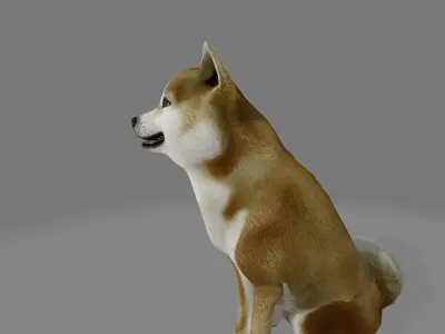 animated shiba inu dog Low-poly 3D model