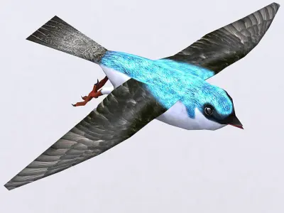 3DRT - Swallow Low-poly 3D model