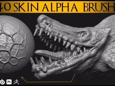 40 Skin Brush Brushes for Blender and Zbrush-Skin Brush-Alpha 3D model