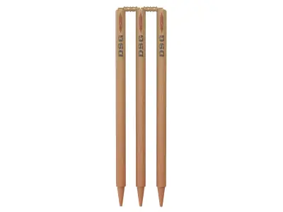 Cricket Sports collection  Low-poly 3D model