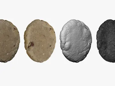 001245 cookie 3D model