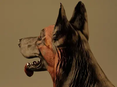 3D German Shepherd Dog 3D model