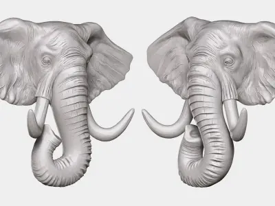 Elephant Head 3D model buy