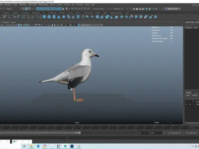 Realistic Seagull Model - Low-poly 3D model