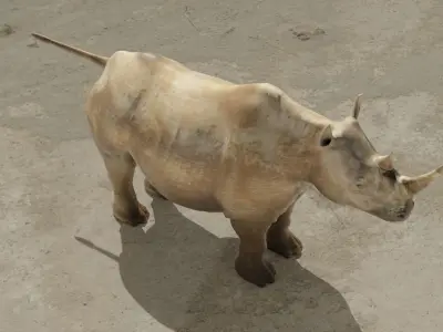 Rhino 3d model rhinoceros Low-poly 3D model