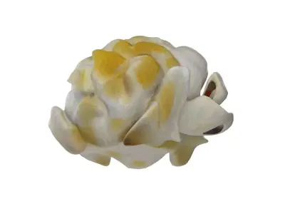 Popcorn 4  Low-poly 3D model