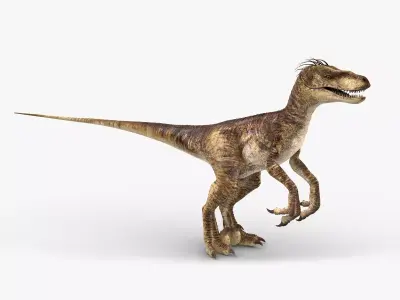 Velociraptor 2 RIGGED 3D model