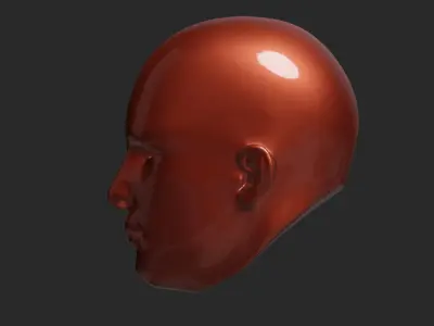 Humans Head 3D print model
