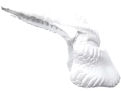 croc hunter predator 3D print model