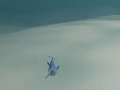 Animated Cartoony Dolphin  Low-poly 3D model