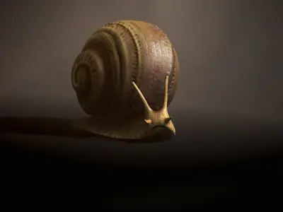 Land snail1 - Game Ready Low-poly 3D model Low-poly 3D model