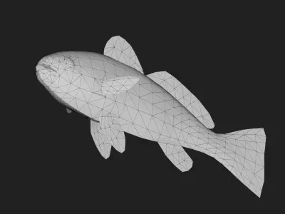 Darter Low-poly 3D model