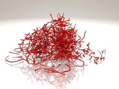 Saffron Stigma 3D model