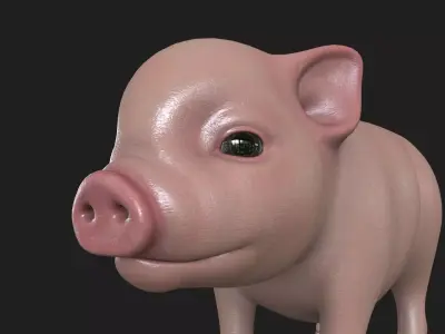 PIGS-001 Pig 3D model