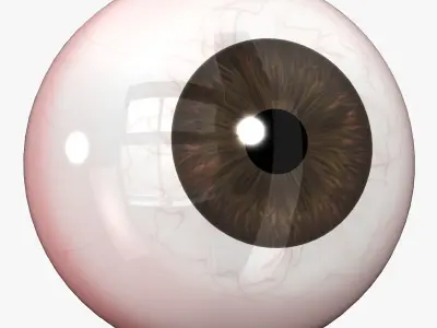 Eye green blue hazel Low-poly 3D model