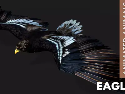 Eagle A3 Free low-poly 3D model