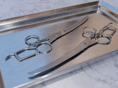 Hair Stylist PBR Scissors 3D model