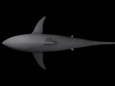 sharky shark Low-poly 3D model