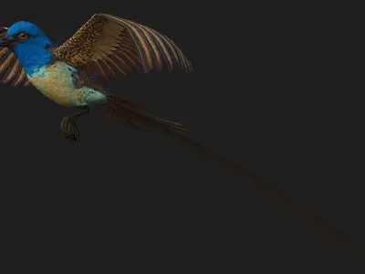 PheasantBird B1 3D model