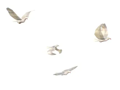 Animated White Doves Lowpoly Art Style Low-poly 3D model