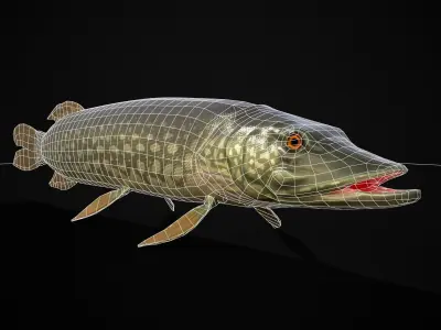 Northern Spotted Pike Low-poly 3D model