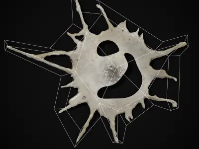 Bird Poop Pack Low-poly 3D model