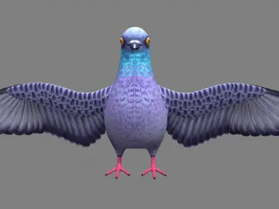 Pigeon bird Low-poly 3D model