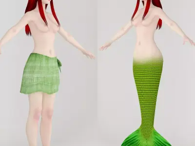  T pose nonrigged model of little mermaid and human form 3D model