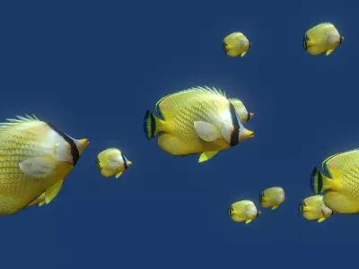 Schooling Fish  Low-poly 3D model
