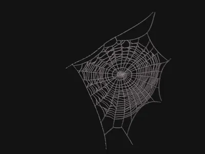 Spider Webs 3D Model Low-poly 3D model