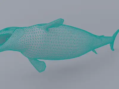 Basilosaurus  Low-poly 3D model