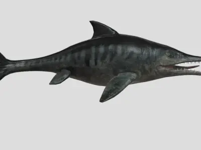 Ophthalmosaurus Realistic Animated Low-poly 3D model