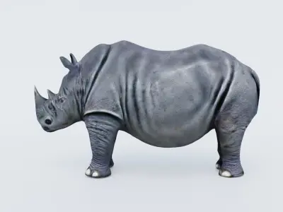Rhino Free 3D model