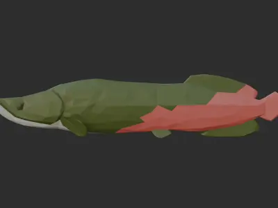 Low Poly Arapaima Low-poly 3D model