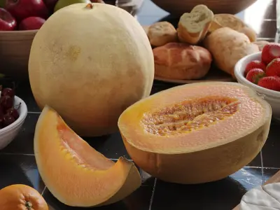  Cantaloupe Melon Models 