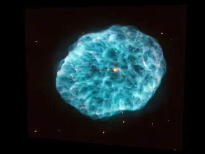 Oyster Nebula 3D model
