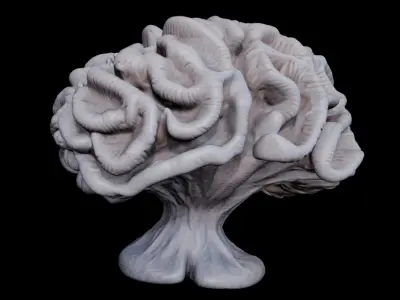 Reef Asset Pack Low-poly 3D model