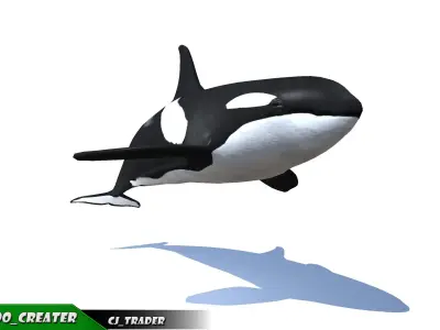 Low-Poly Killer Whale Rigged Animated 3D model Low-poly 3D model
