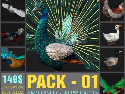 Pack-01-Bird Family 3D model